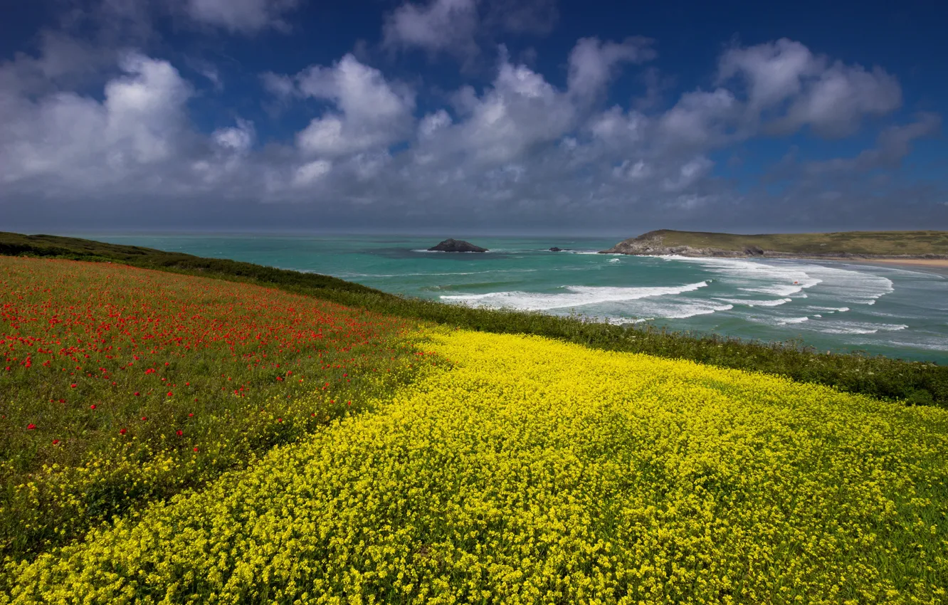 Photo wallpaper sea, shore, Maki, rape