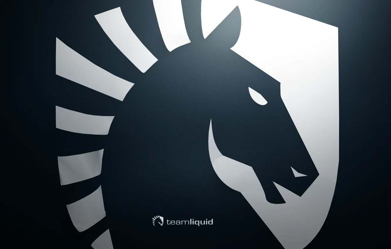Photo wallpaper dota2, KraSS, Team Liquid
