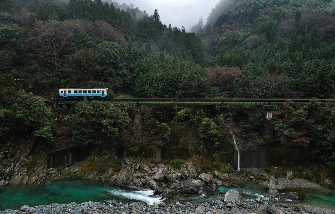 Photo wallpaper river, trees, bridge, Train