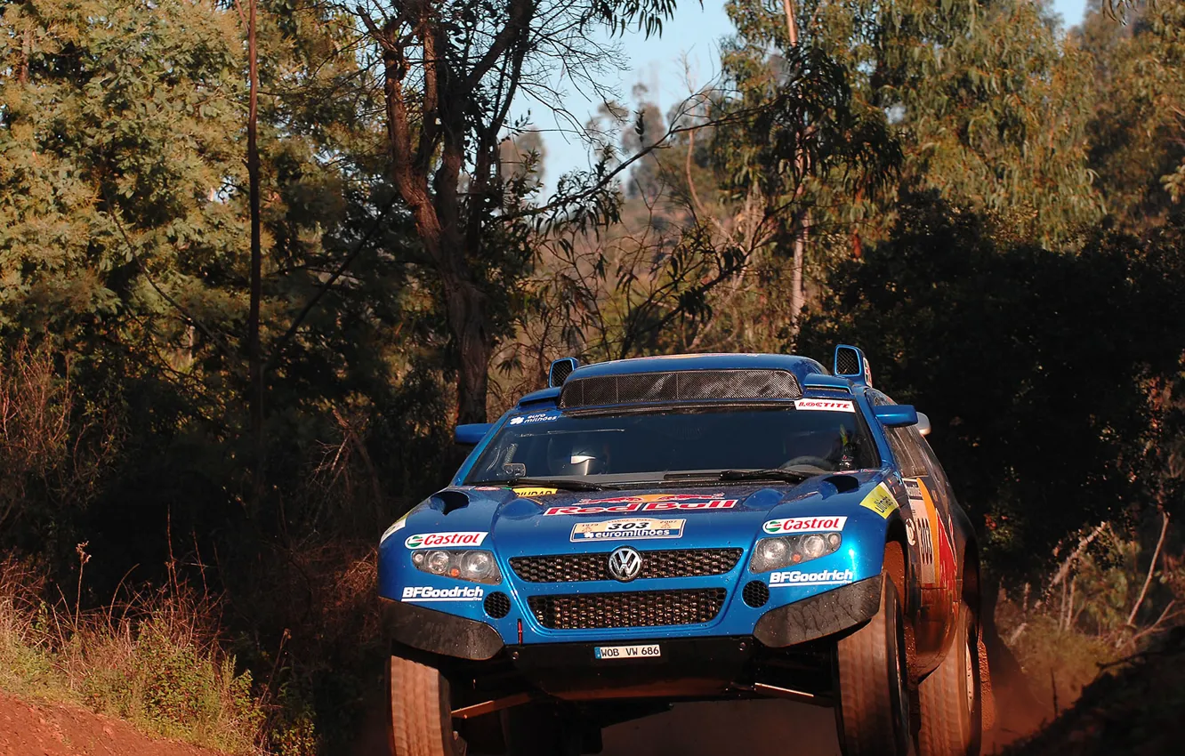 Photo wallpaper thickets, Volkswagen, Touareg Race