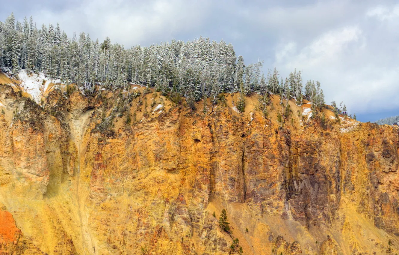 Photo wallpaper trees, landscape, mountains, nature