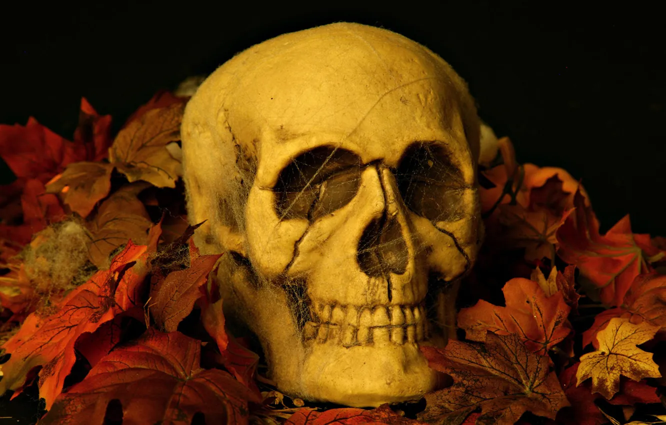 Photo wallpaper leaves, skull, helovin