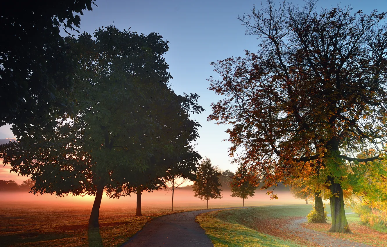 Photo wallpaper road, autumn, trees, fog, Park, dawn