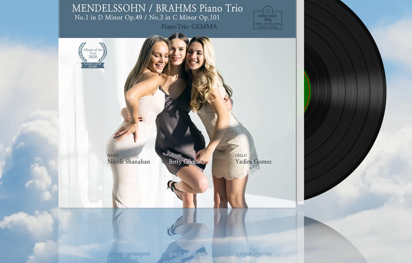 Photo wallpaper Classical music, vinyl record, piano trio