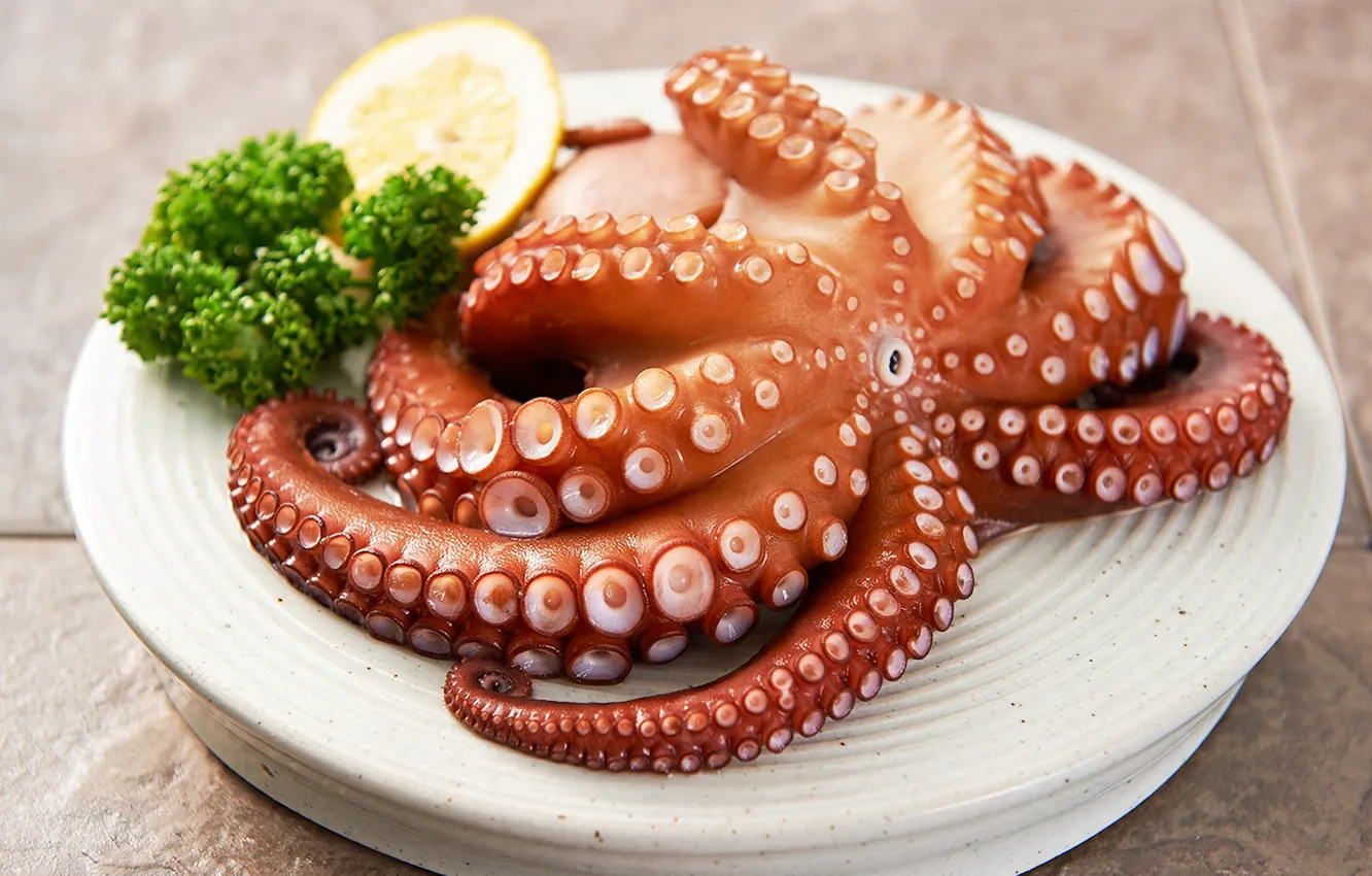 Photo wallpaper octopus, dish, tentacles