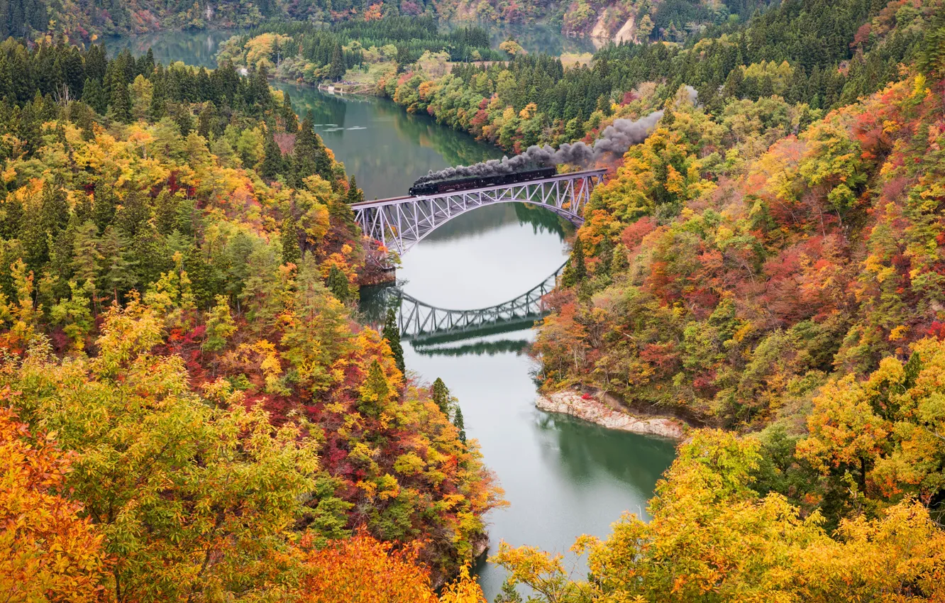 Photo wallpaper autumn, trees, bridge, river, paint, train, the engine