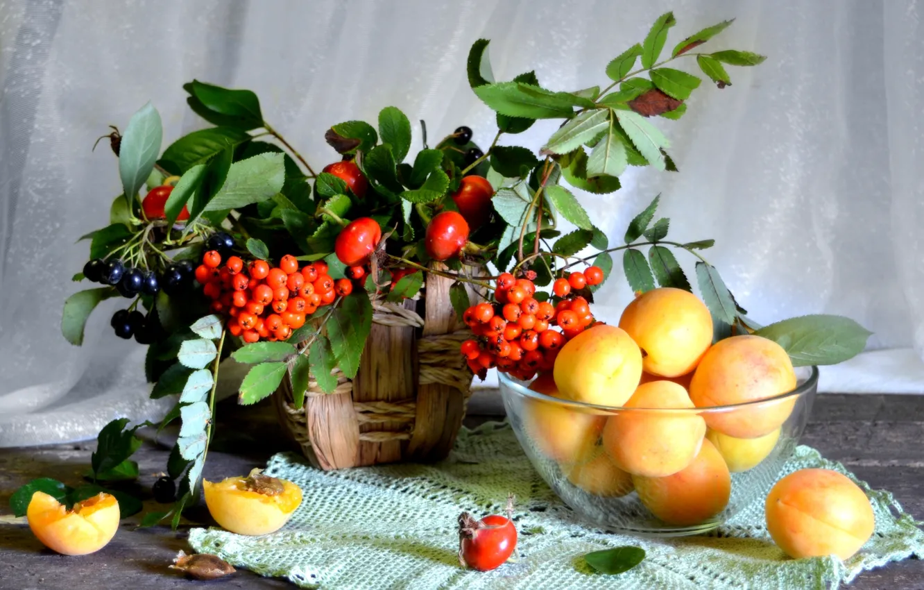 Photo wallpaper briar, still life, Rowan, apricots, Aronia