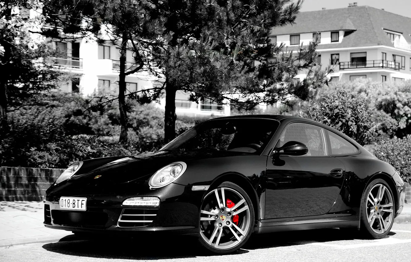 Photo wallpaper Black, Trees, 911, Porsche, Mediocrity, Belastet, Black and White image