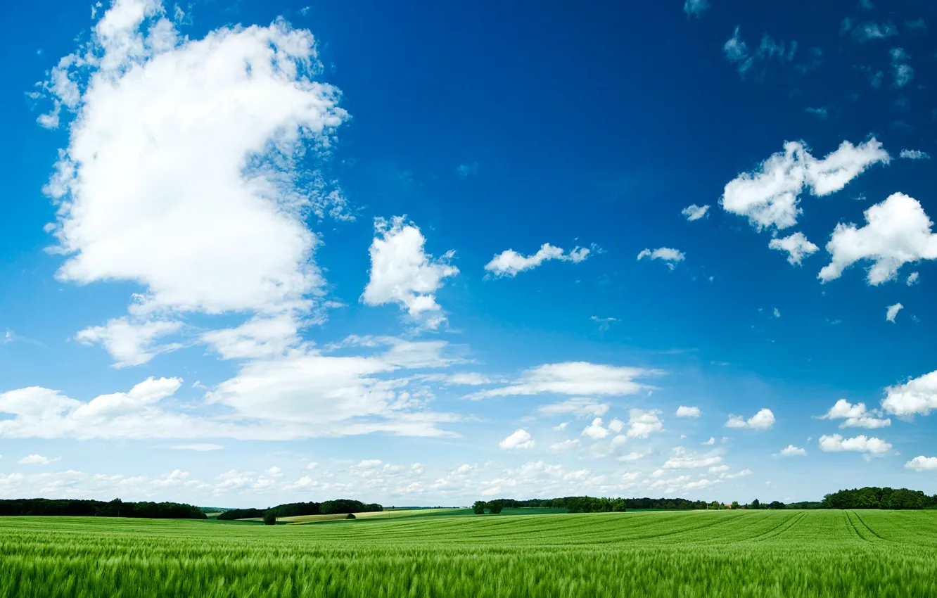Photo wallpaper field, summer, grass, clouds, nature, dal, horizon, meadow