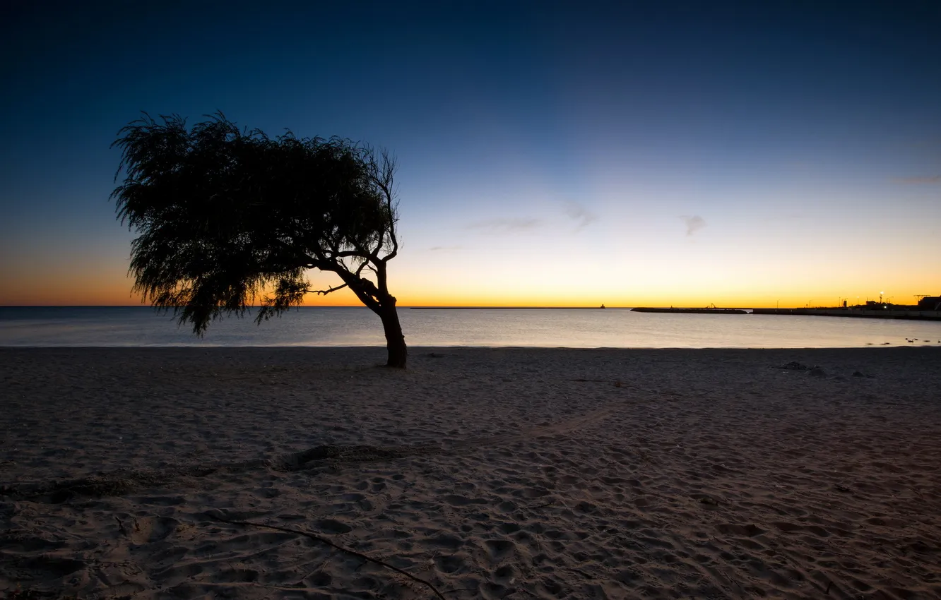 Photo wallpaper sea, trees, landscape, night