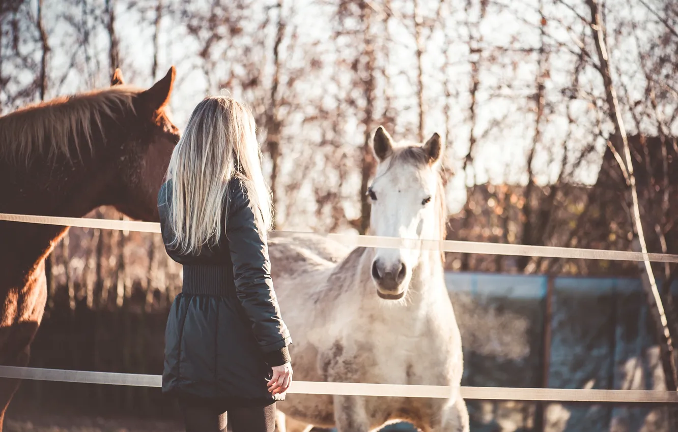 Photo wallpaper girl, animal, horse