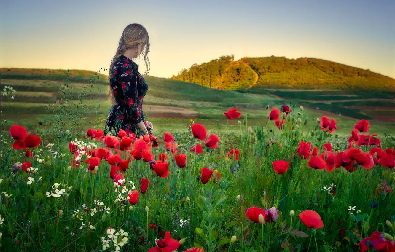 Photo wallpaper field, summer, girl, flowers, red, hills, Maki, dress