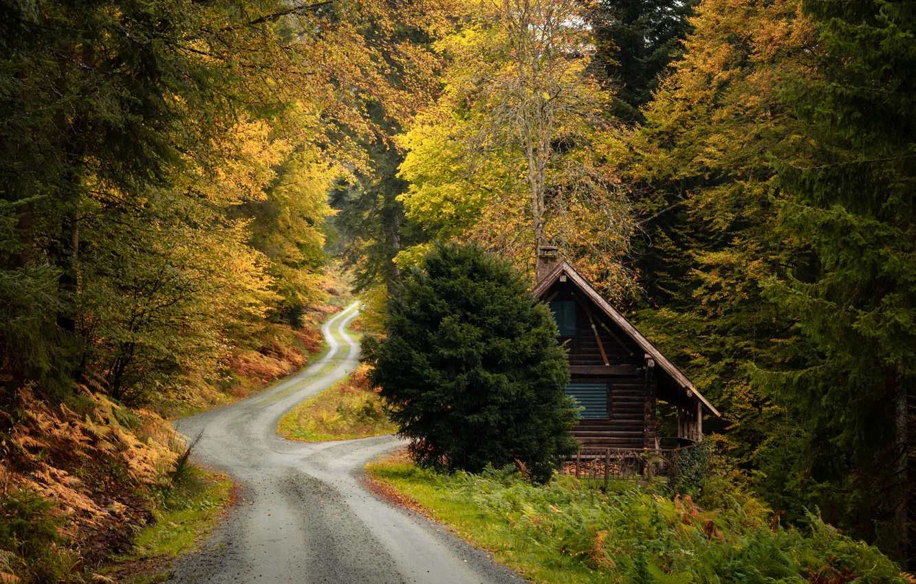 Photo wallpaper house, grass, road, trees, nature, Germany, plants, fall
