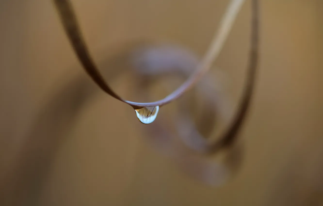Photo wallpaper water, background, drop