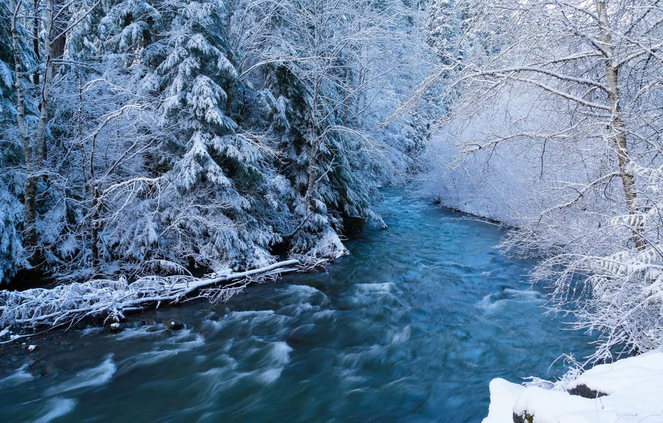 Photo wallpaper winter, forest, snow, river, stream