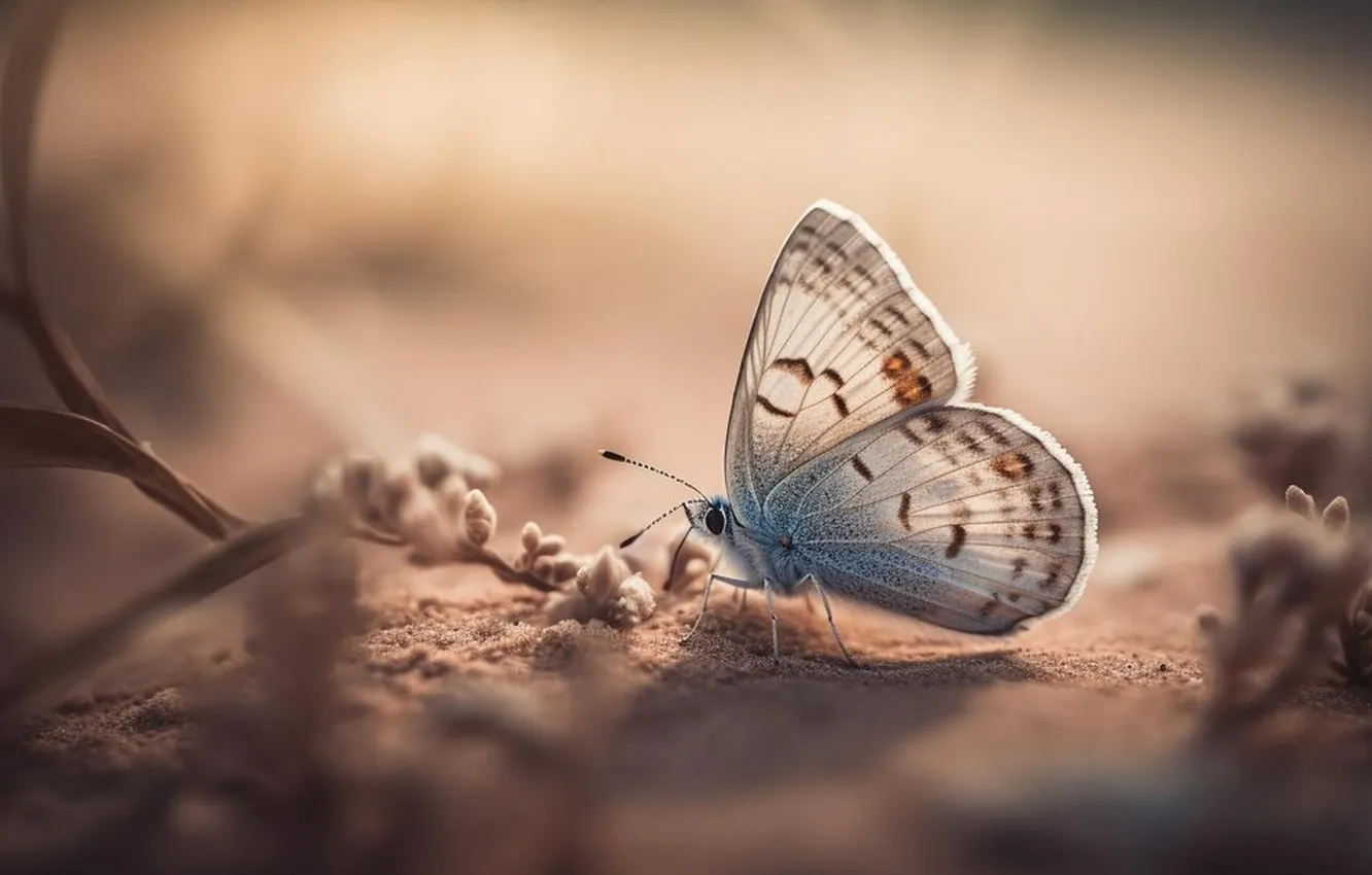 Photo wallpaper macro, butterfly, digital art, generated by AI