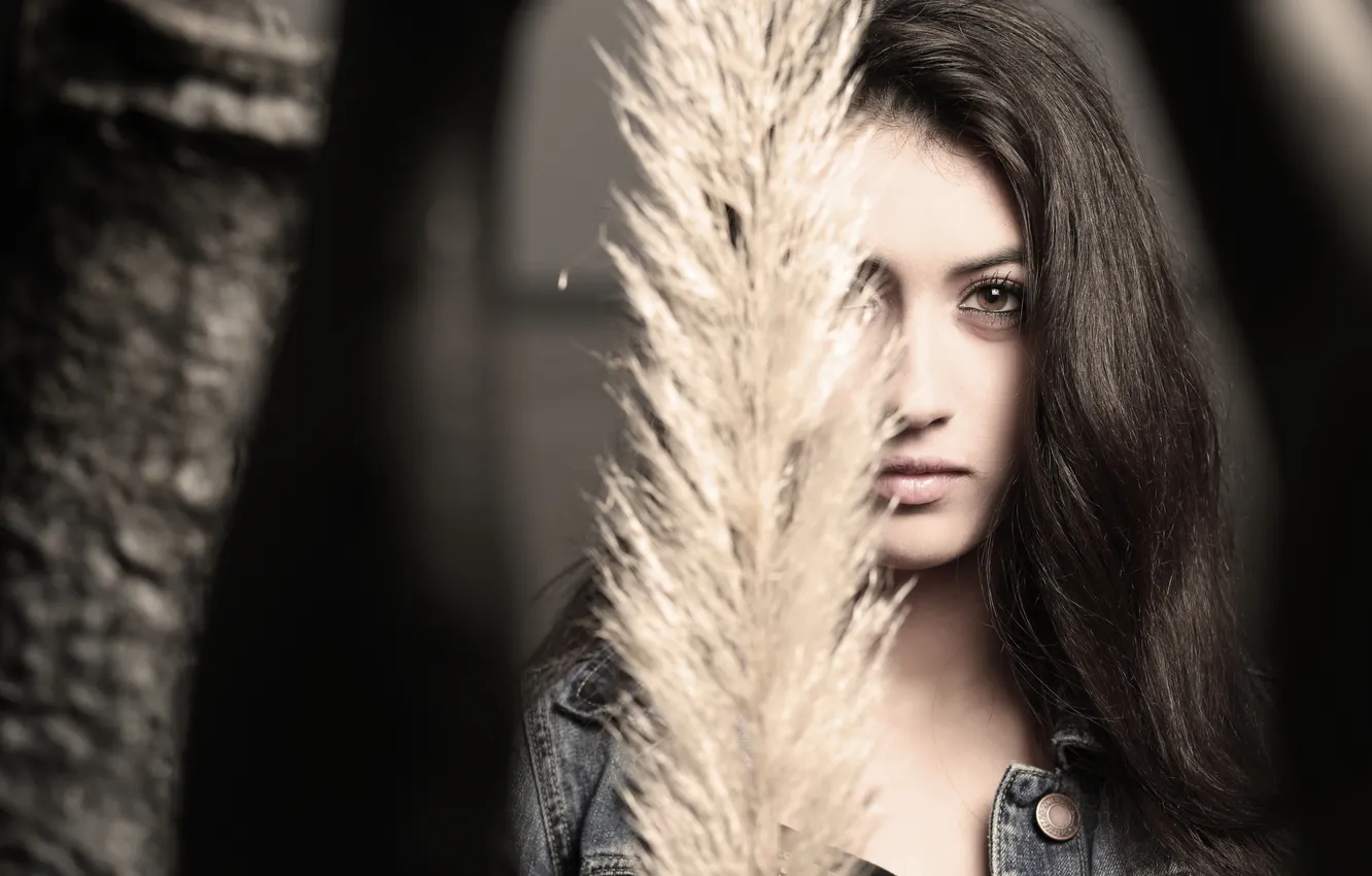 Photo wallpaper girl, portrait, Lauren