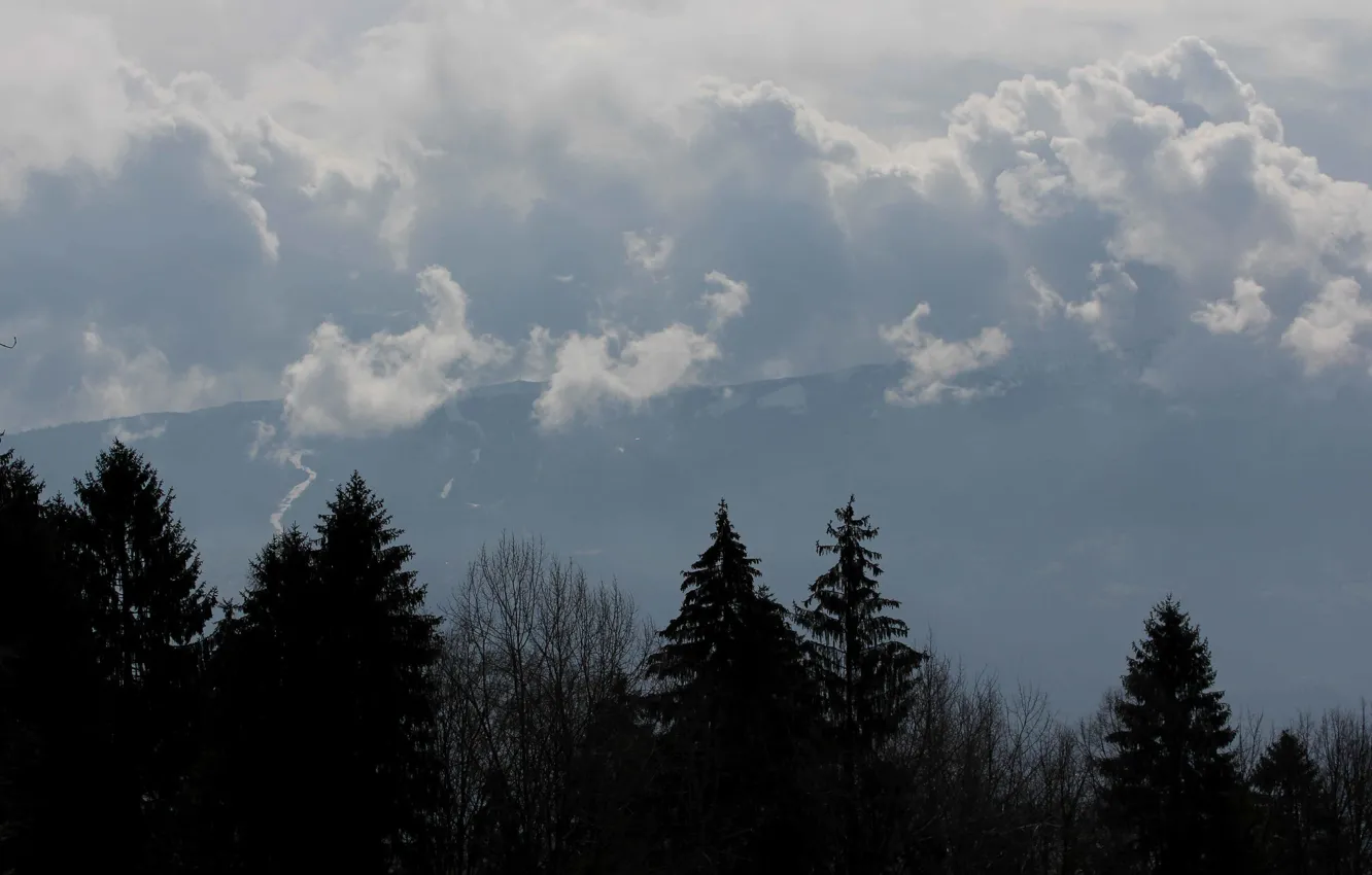 Photo wallpaper forest, clouds, trees, mountains, silhouette