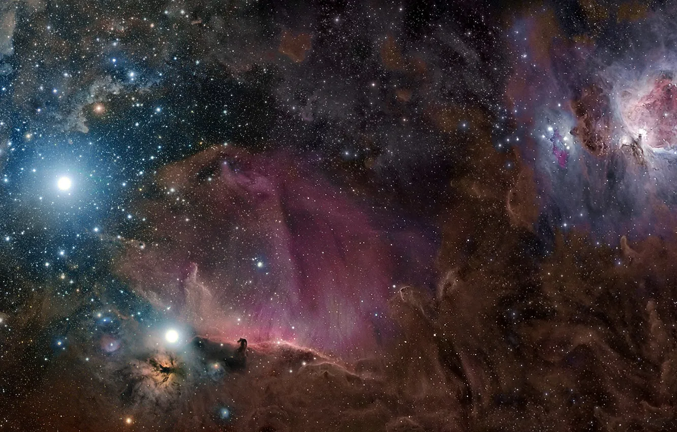 Photo wallpaper stars, nebula, dust, gas, constellation, Orion, M42