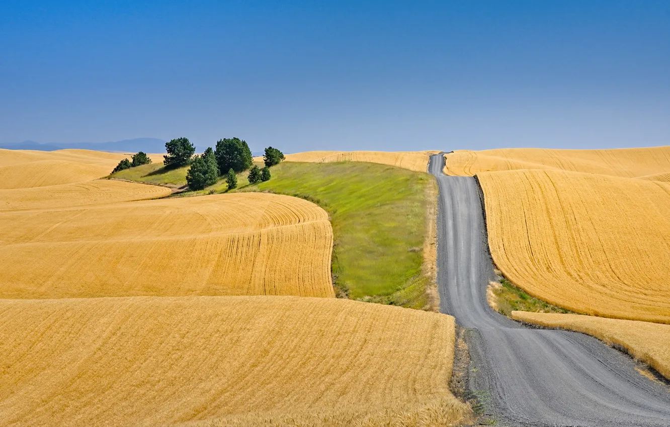 Photo wallpaper road, field, the sky, trees, hills, Sunny