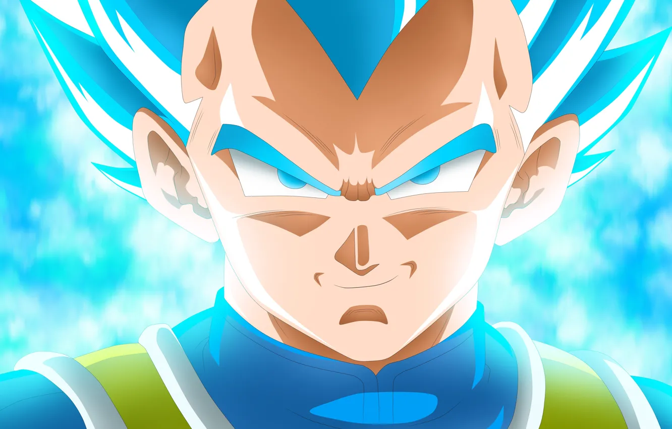 Photo wallpaper blue, Super Saiyan, Vegeta Dragon Ball
