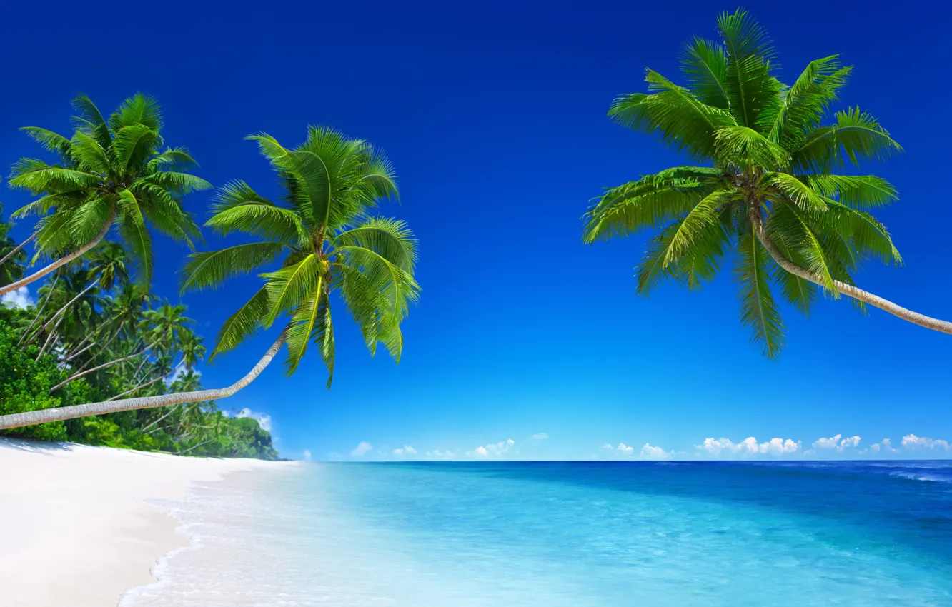 Photo wallpaper sand, sea, the sky, the sun, clouds, tropics, palm trees, blue