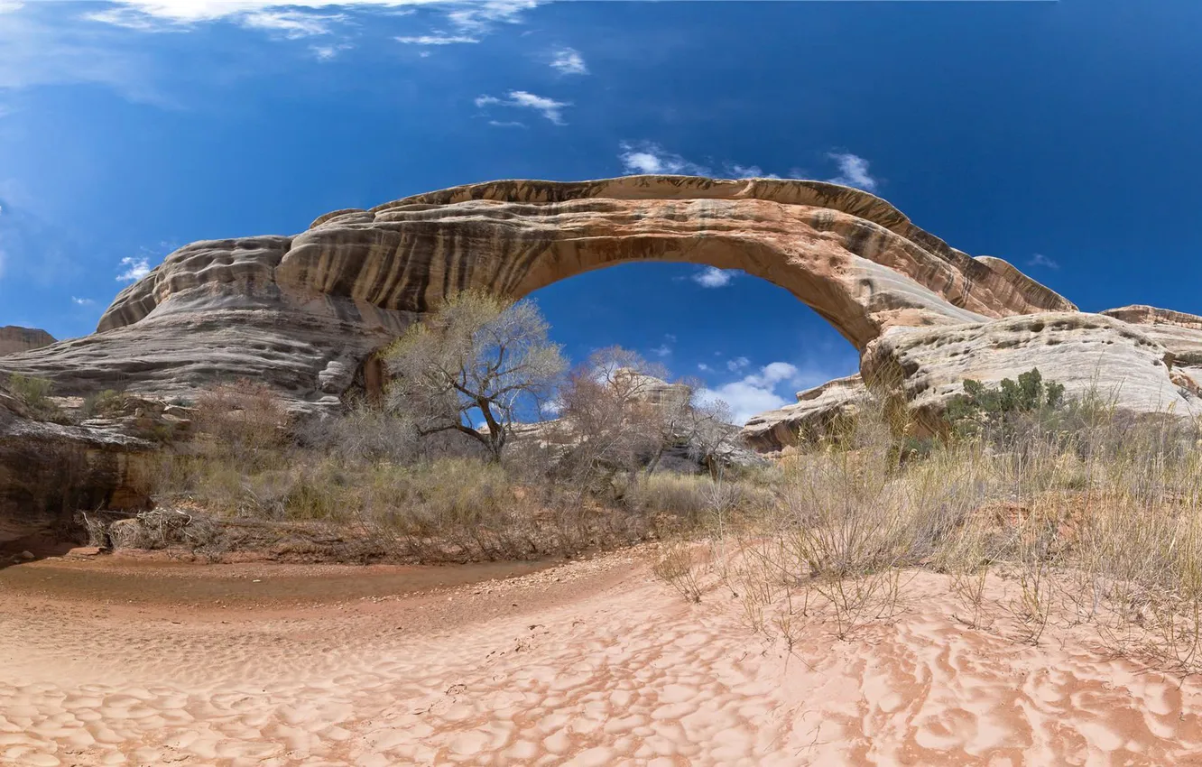 Photo wallpaper the sky, rocks, arch, USA, the bushes, Arches National Park, uta