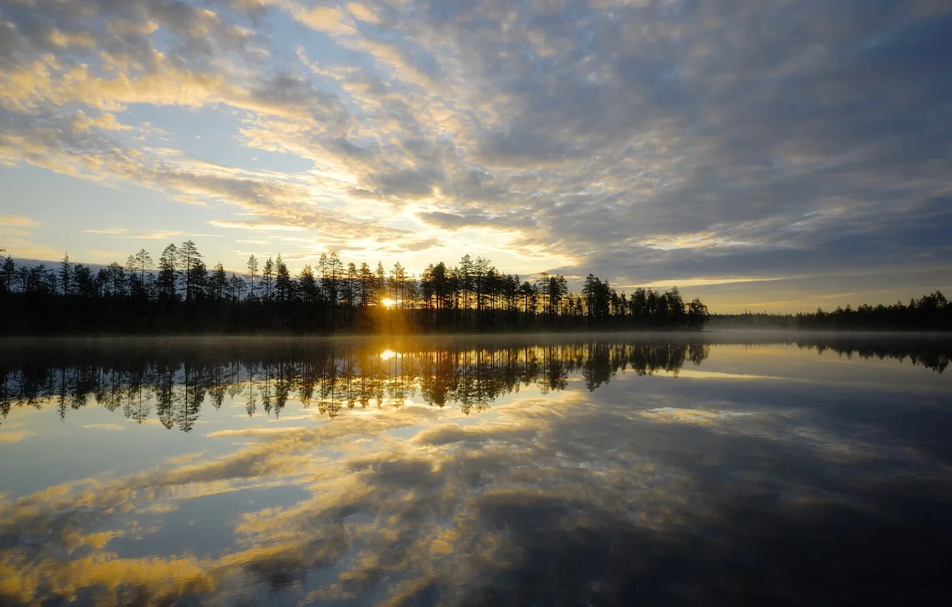Photo wallpaper trees, nature, lake, reflection, dawn, Landscape