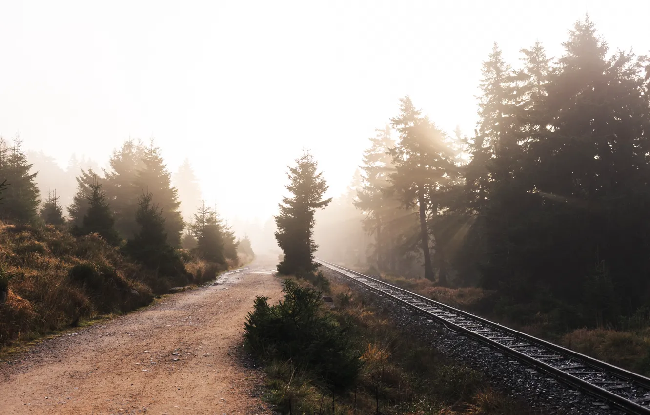 Photo wallpaper road, nature, fog, railroad