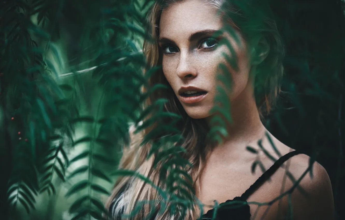 Photo wallpaper look, leaves, branches, nature, model, portrait, makeup, hairstyle