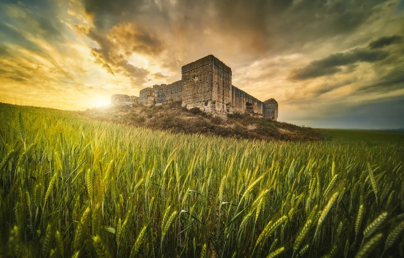 Photo wallpaper field, castle, ears, cereals