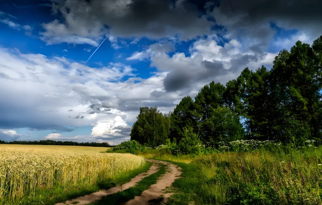 Photo wallpaper road, field, rustic inspiration, forest
