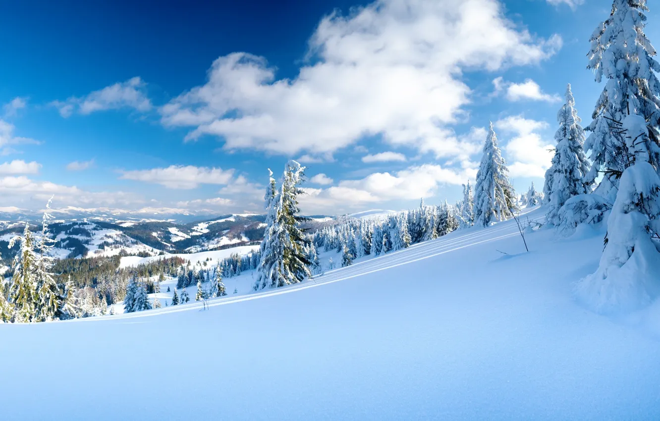 Photo wallpaper winter, clouds, snow, trees, landscape, nature, slope