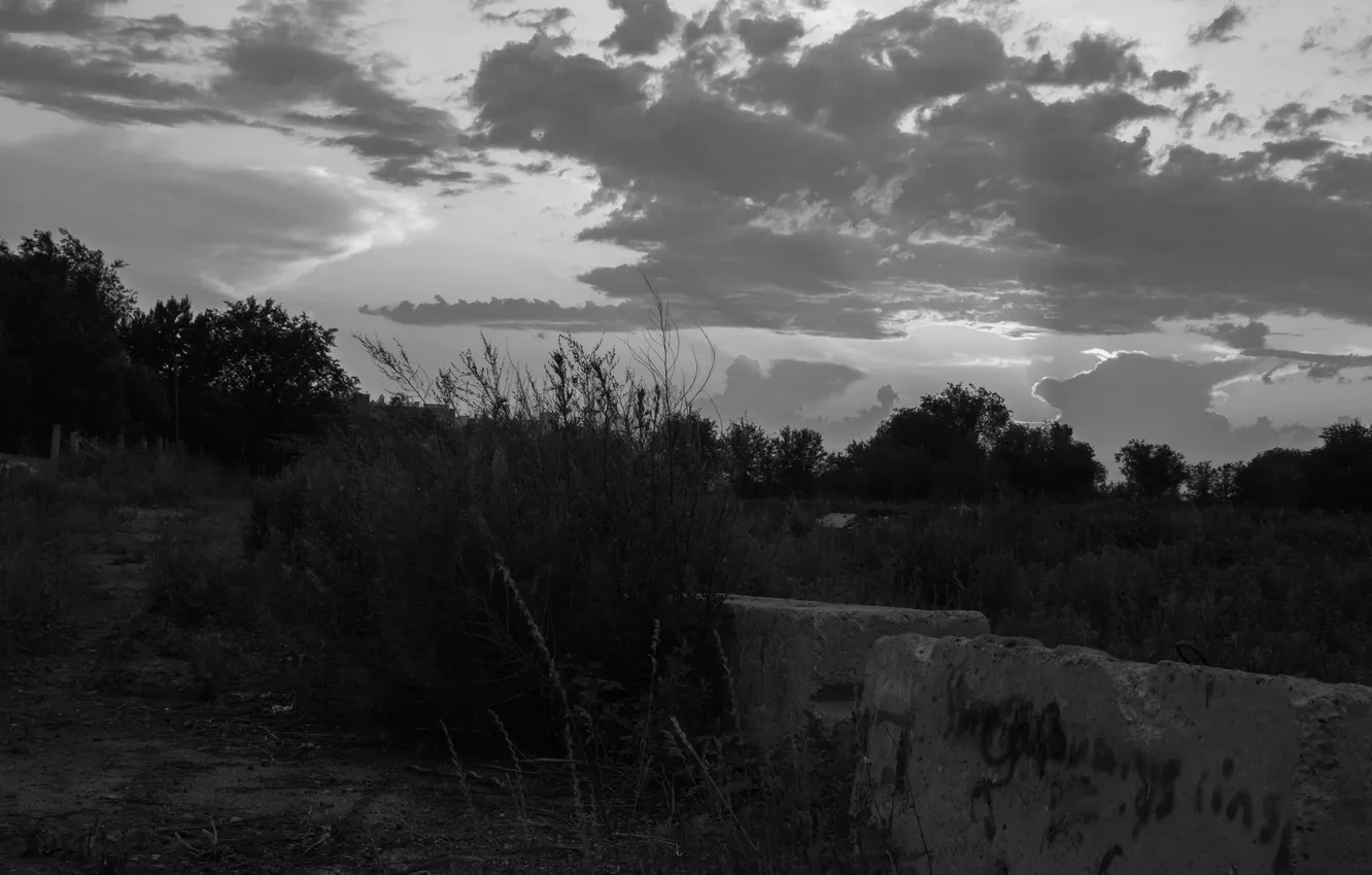 Photo wallpaper field, the sky, grass, clouds, trees, black and white, plate, Russia