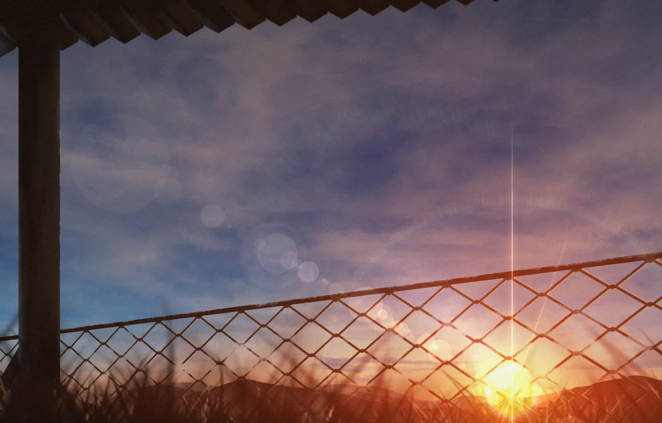 Photo wallpaper the sun, nature, the fence