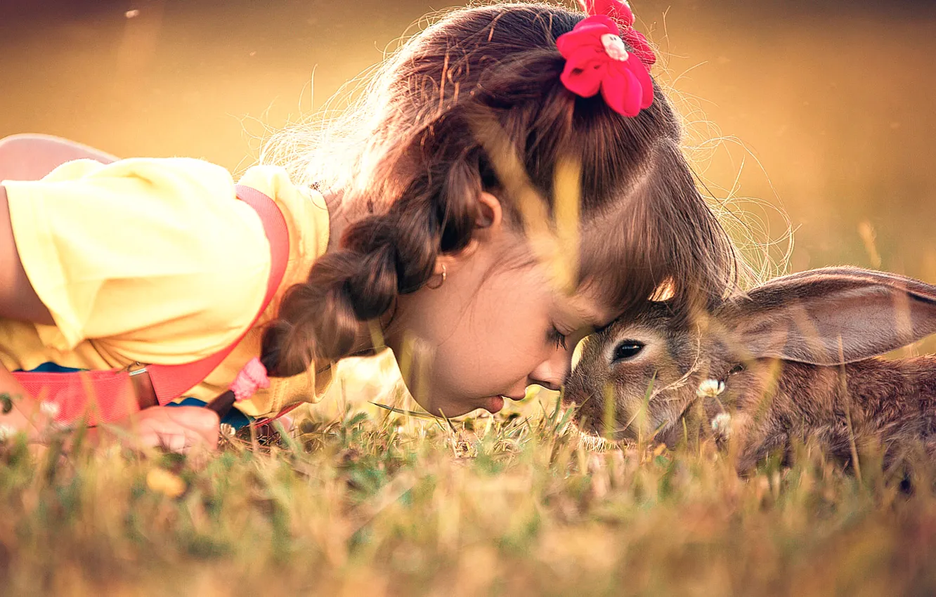 Photo wallpaper hare, rabbit, friendship, girl