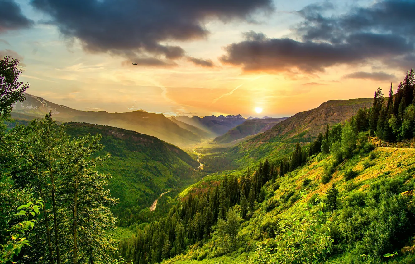 Photo wallpaper forest, sunset, mountains