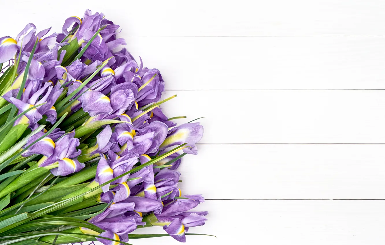 Photo wallpaper flowers, bouquet, iris