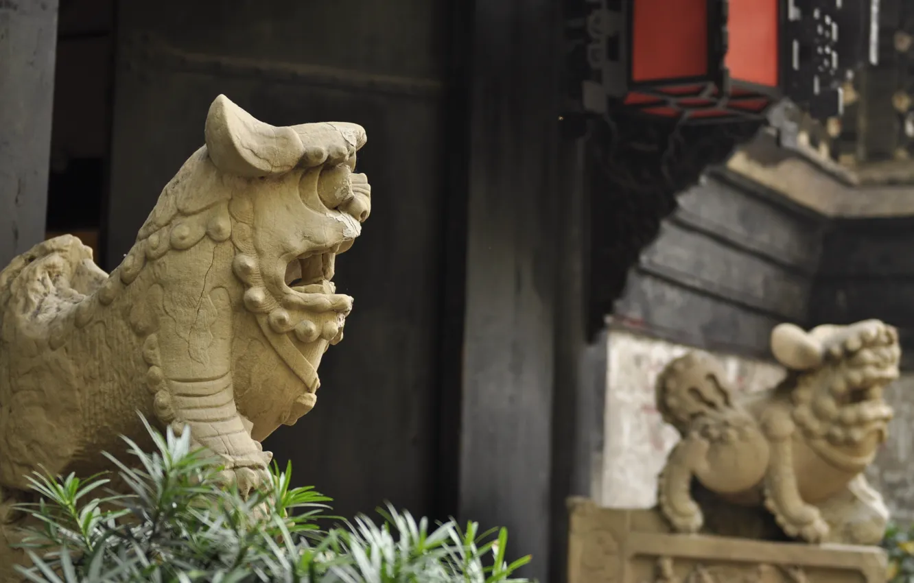 Photo wallpaper China, life, Chengdu