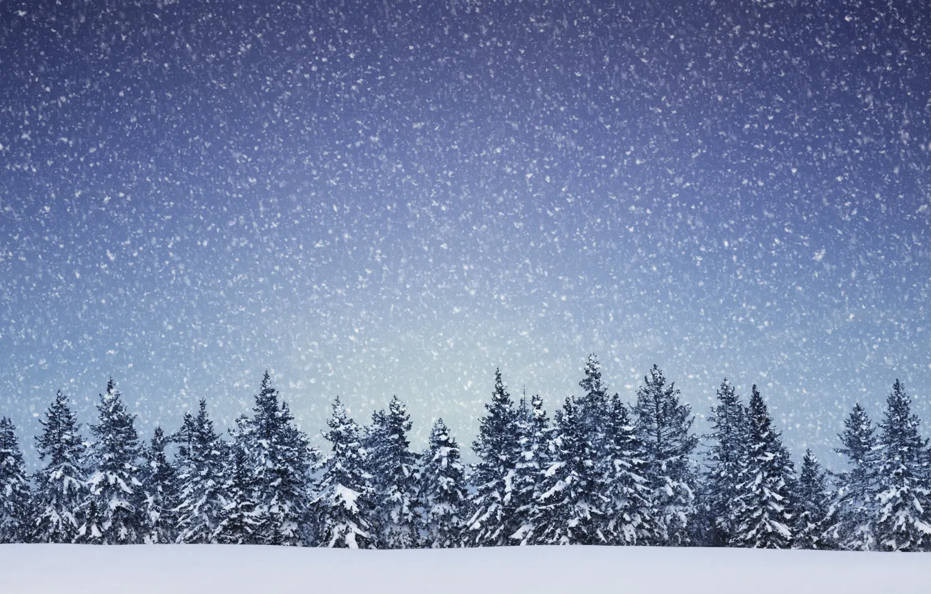 Photo wallpaper winter, snow, trees, landscape, snowflakes, nature, spruce, coniferous forest