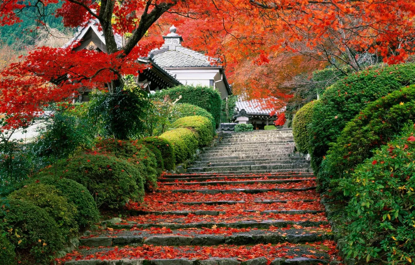 Photo wallpaper autumn, Japan, garden