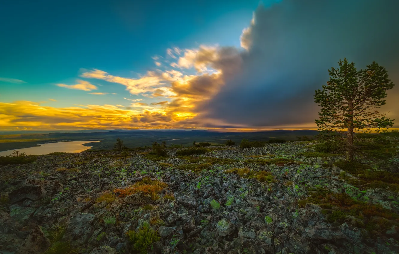 Photo wallpaper field, the sky, clouds, light, trees, clouds, lake, blue