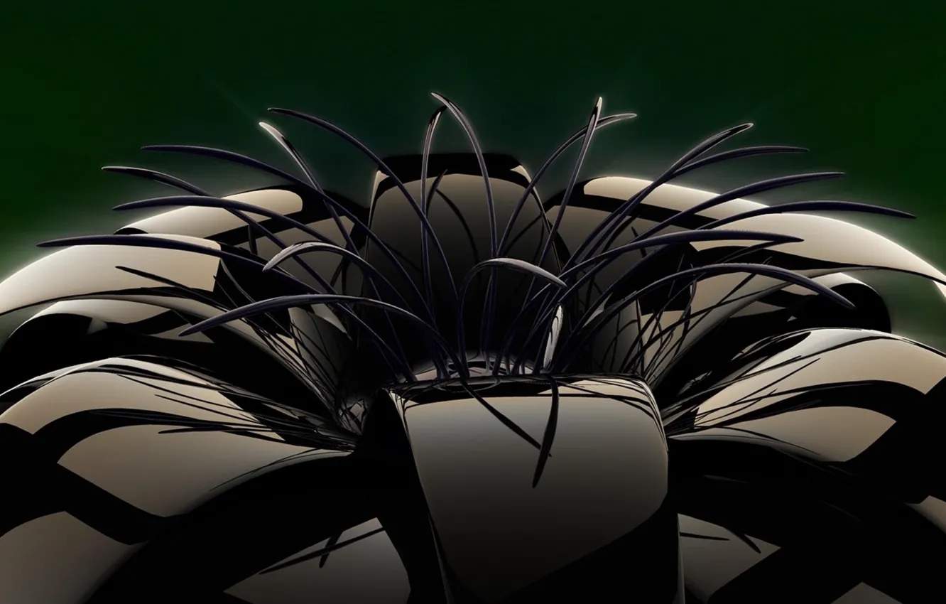 Photo wallpaper glass, flowers, petals, plastic