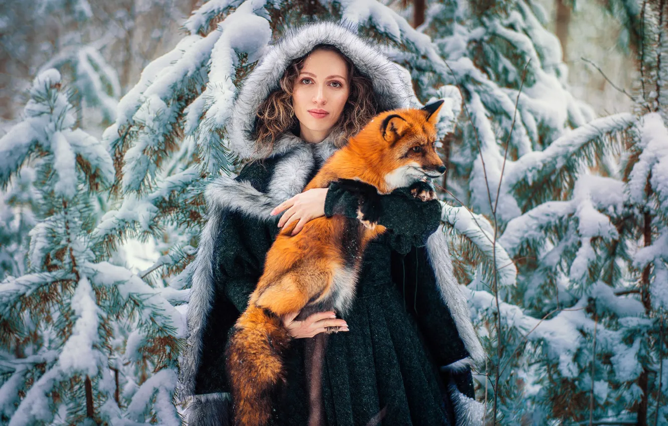 Photo wallpaper winter, forest, look, girl, snow, Fox, hood, red