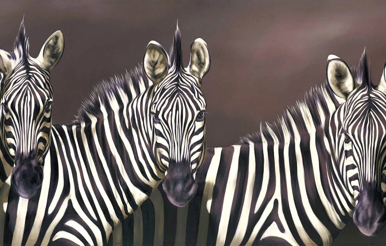 Photo wallpaper animals, look, strips, art, muzzle, Zebra, Robina Yasmin