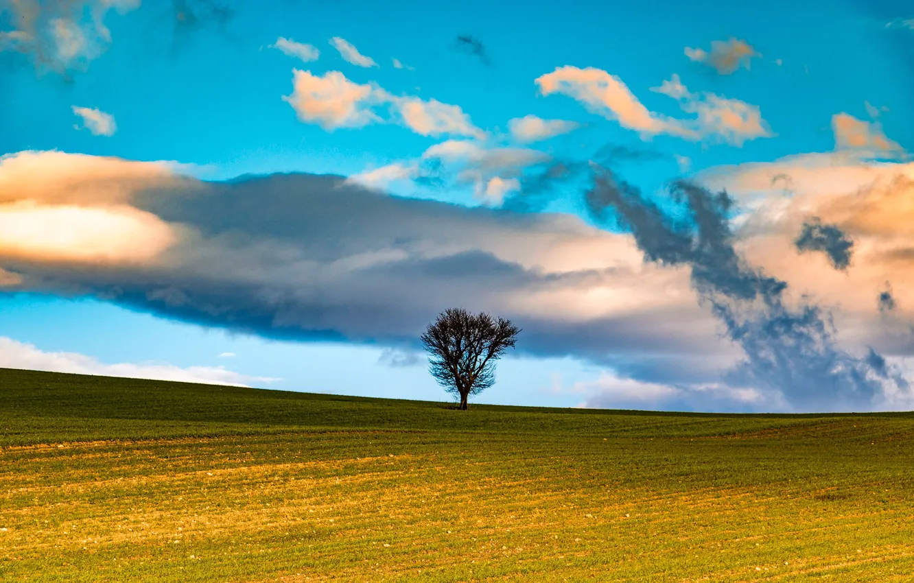 Photo wallpaper field, clouds, trees, Italy, Apulia, Beccari