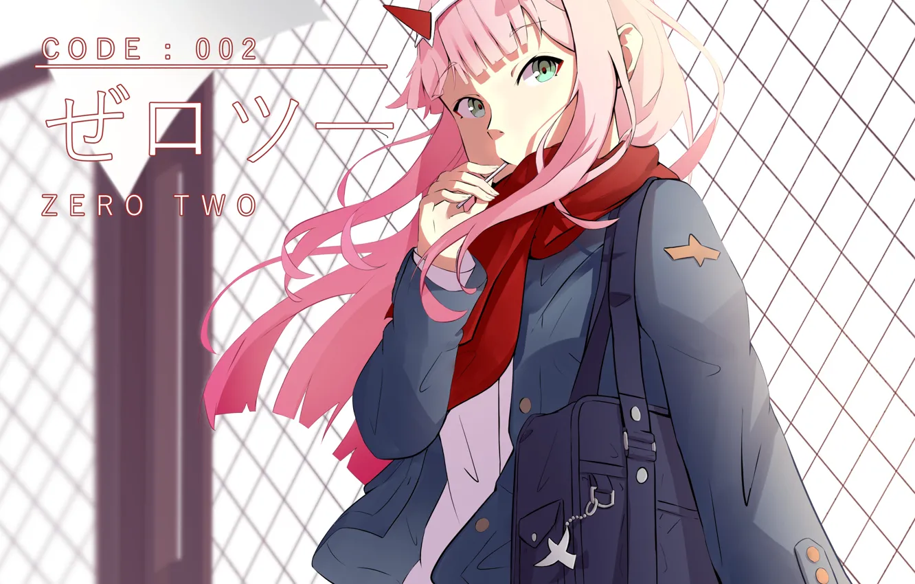 Photo wallpaper girl, mesh, 002, Darling In The Frankxx, Cute in France, Zero Two