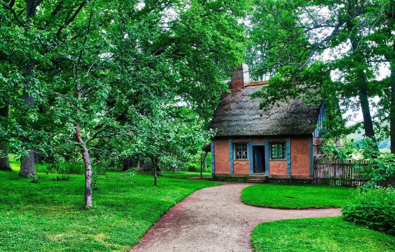 Photo wallpaper summer, trees, lawn, home, track