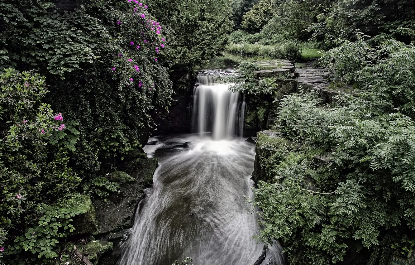 Photo wallpaper forest, England, waterfall, the bushes, Newcastle, England, Newcastle, Jesmond Dene Waterfall