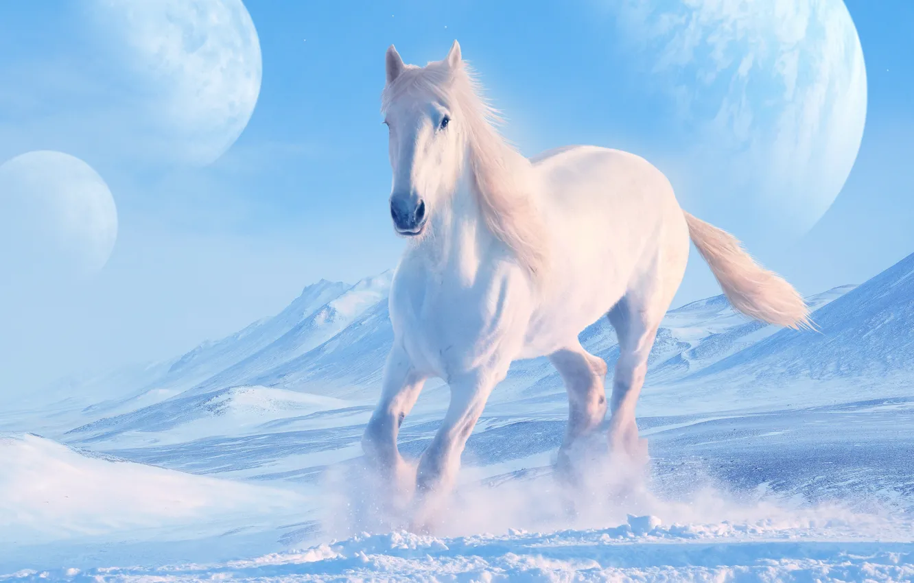 Photo wallpaper winter, white, the sky, snow, mountains, rendering, horse, horse